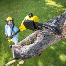 Lawn Irrigation Installation and Maintenance in Medina, NY